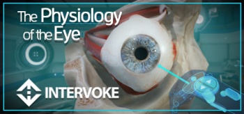 The physiology of the eye1.jpg