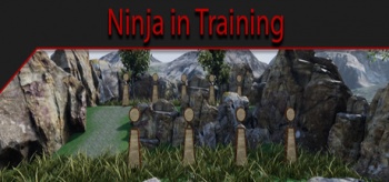 Ninja in training1.jpg