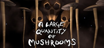 A large quantity of mushrooms1.jpg