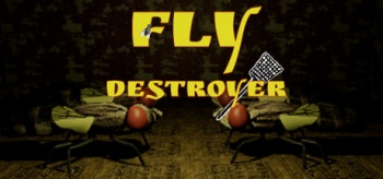 Fly destroyer1.jpg